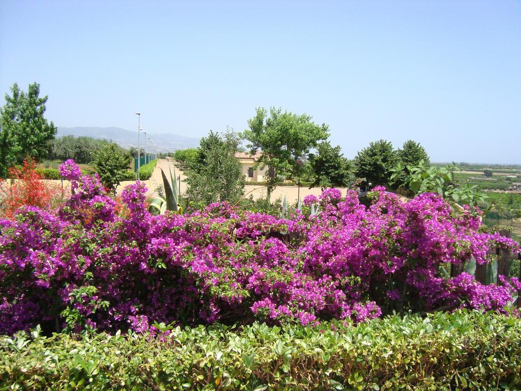 Tenuta Colle Degli Ulivi Sibari Εξωτερικό φωτογραφία